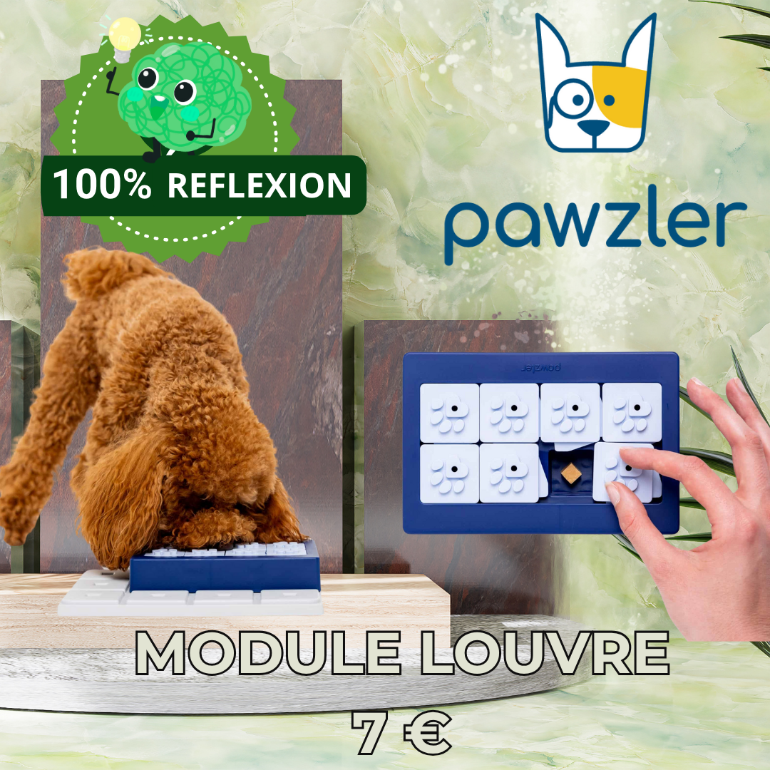 Module LOUVRE