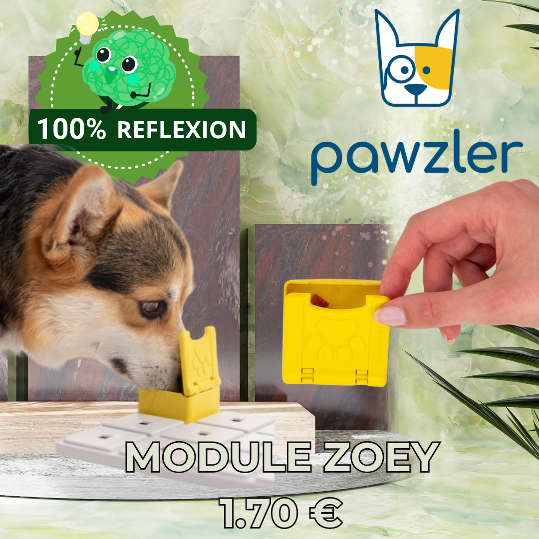 Module Zoey