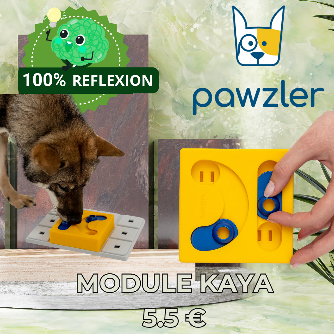MODULE KAYA