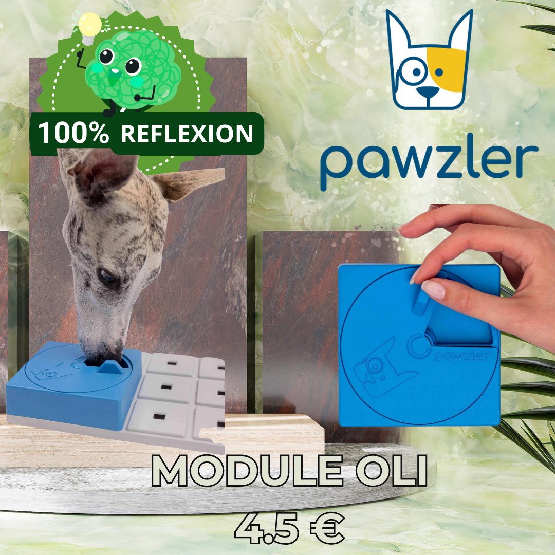 Module Oli