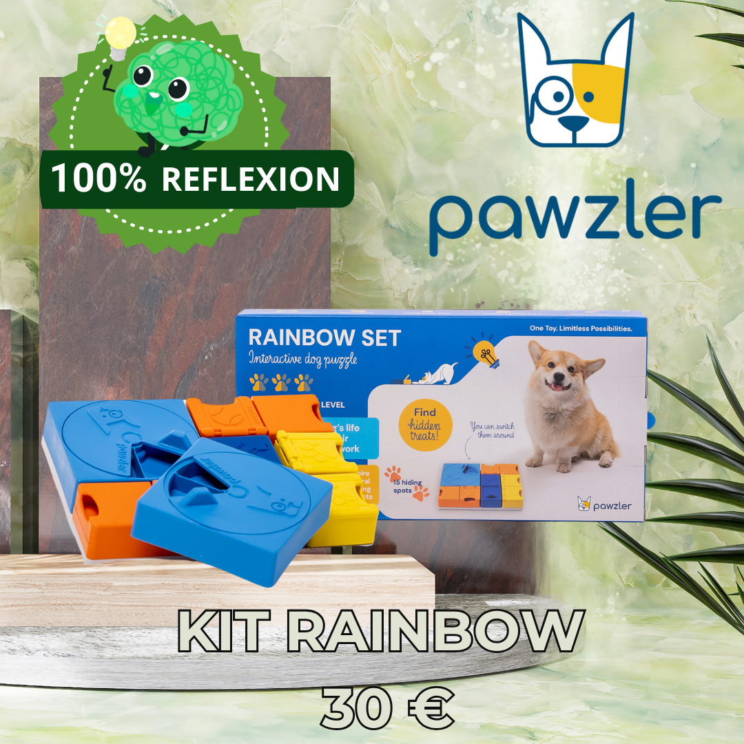 Kit Rainbow