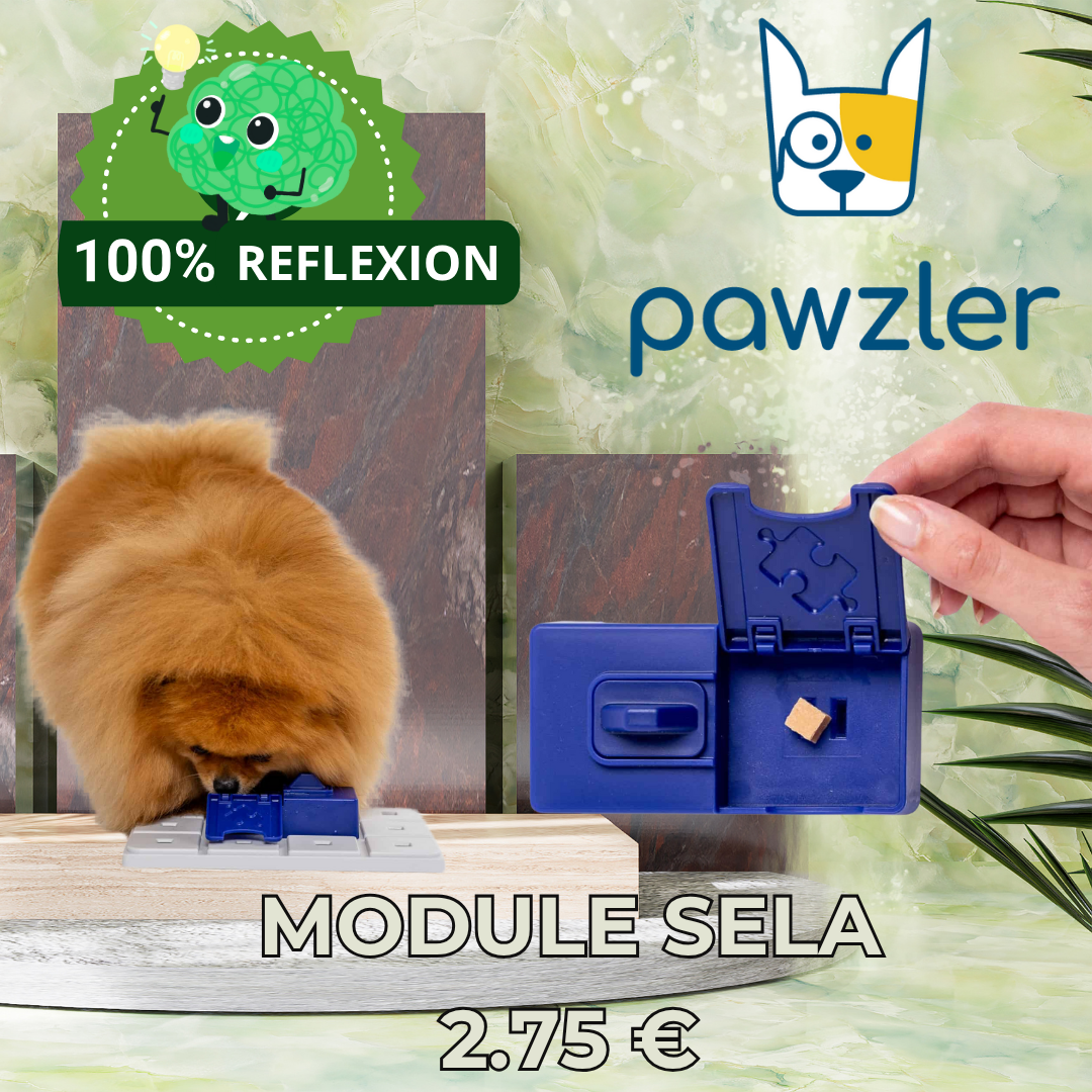 MODULE SELA