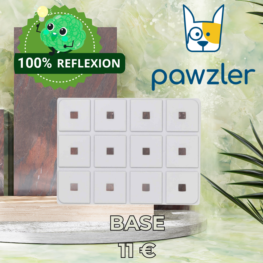 Pawzler Base