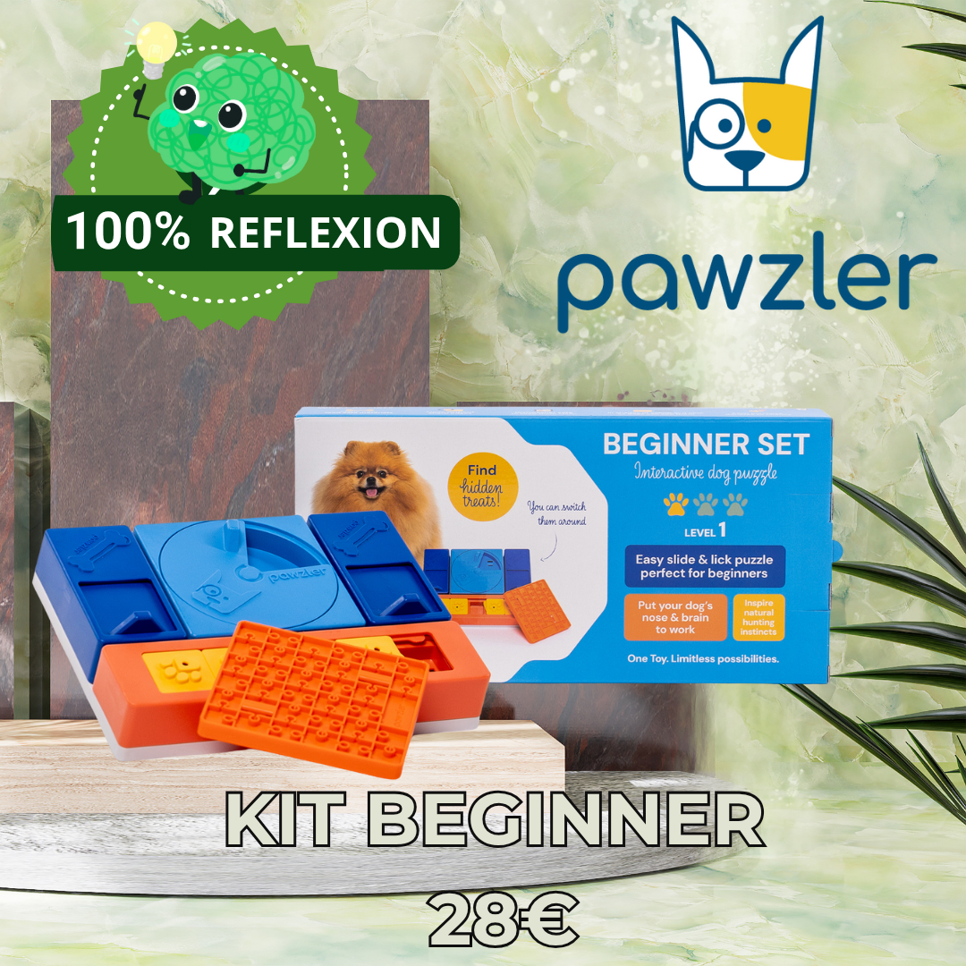 Kit Beginner