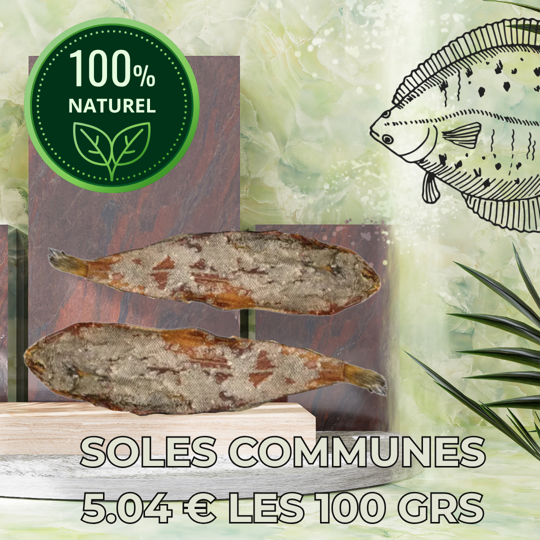 Soles communes (10-15 cm)