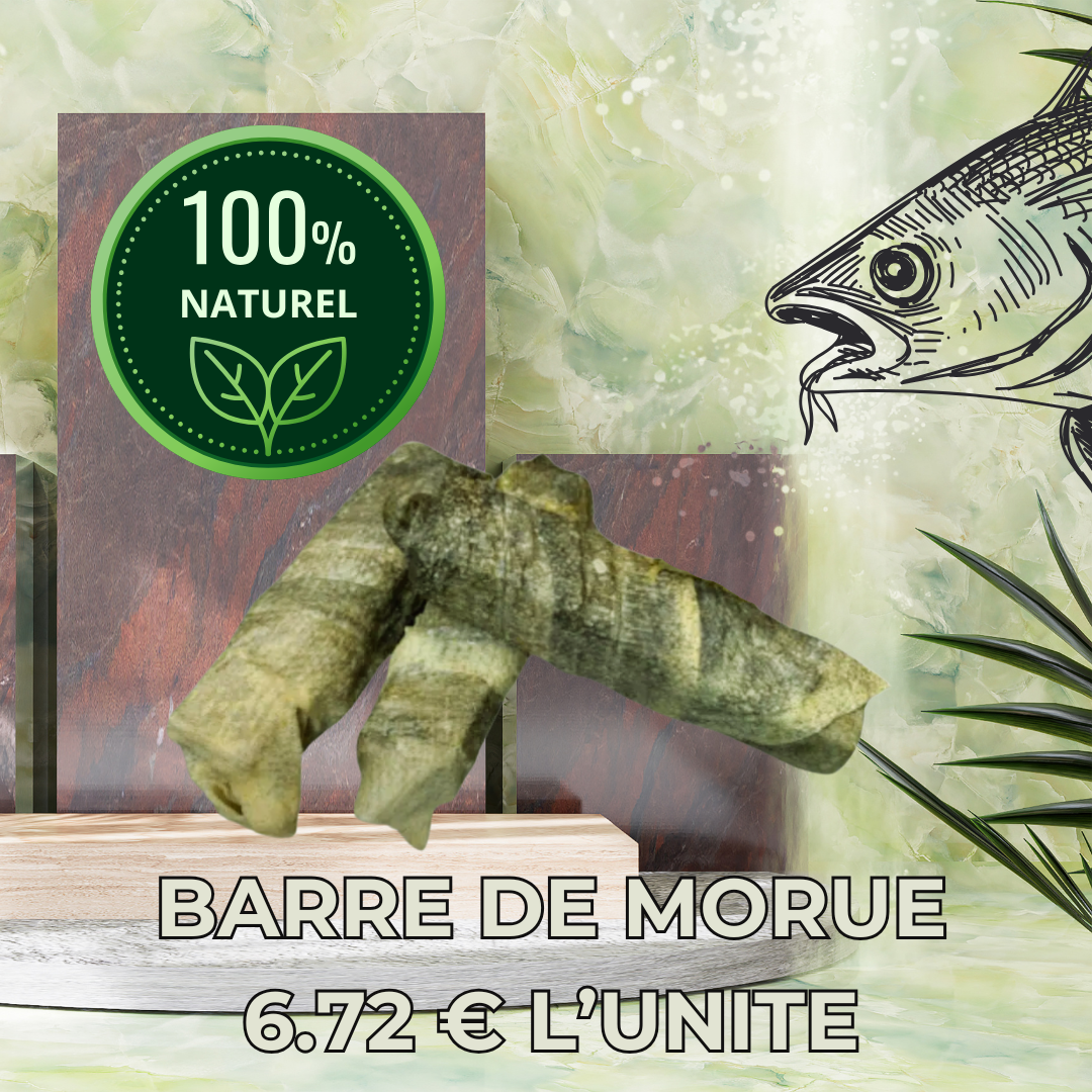 DONUTS ET BARRE DE PEAU DE POISSON