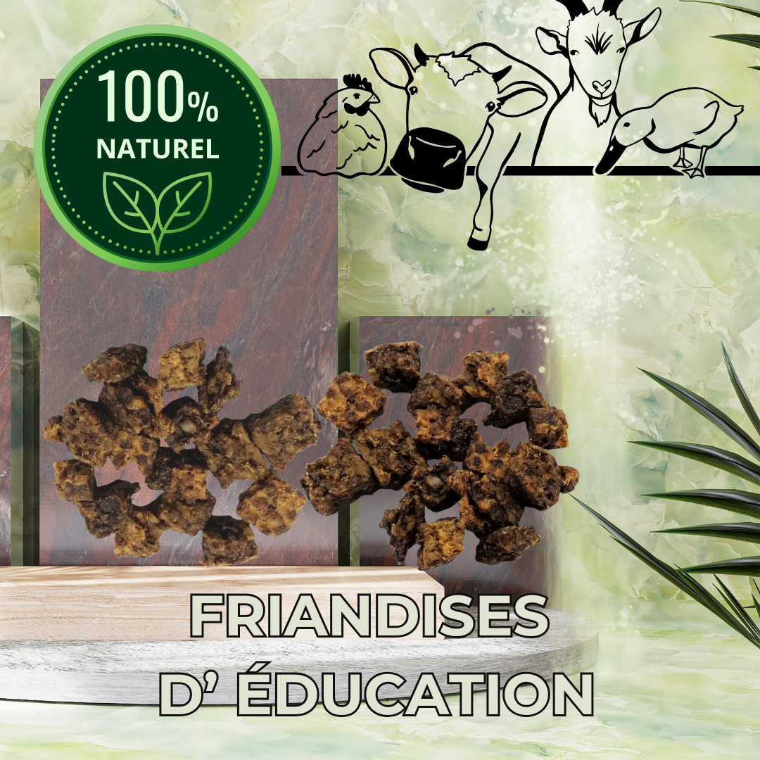 Friandises d'éducation