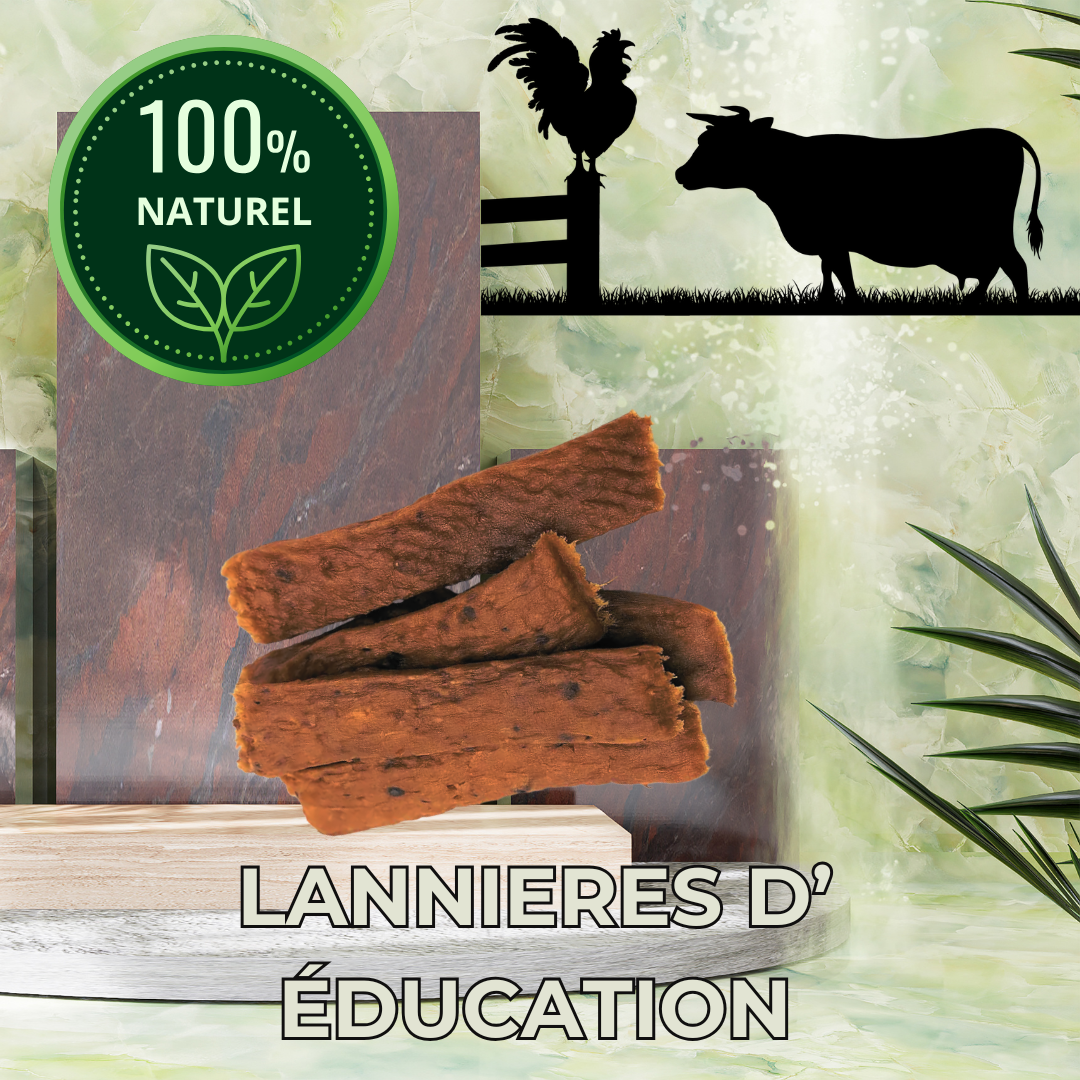 Lanières d'éducation