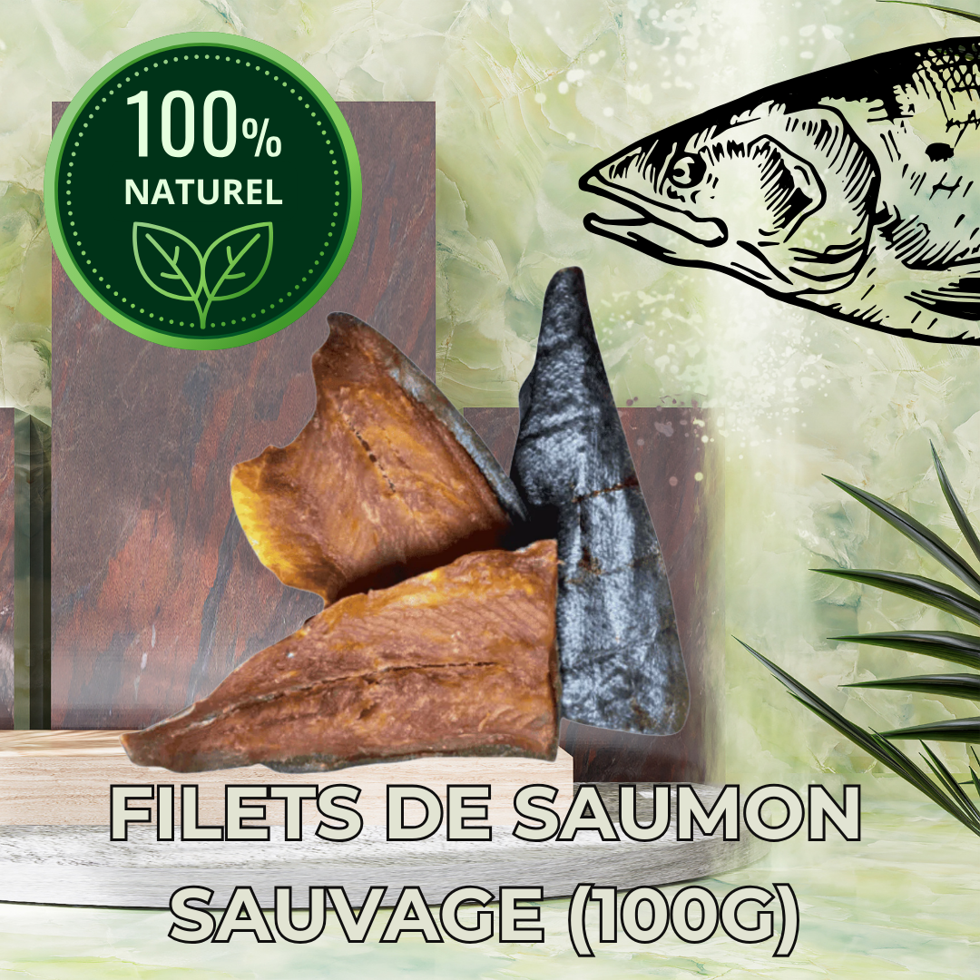 Filet de Saumon Sauvage Séché