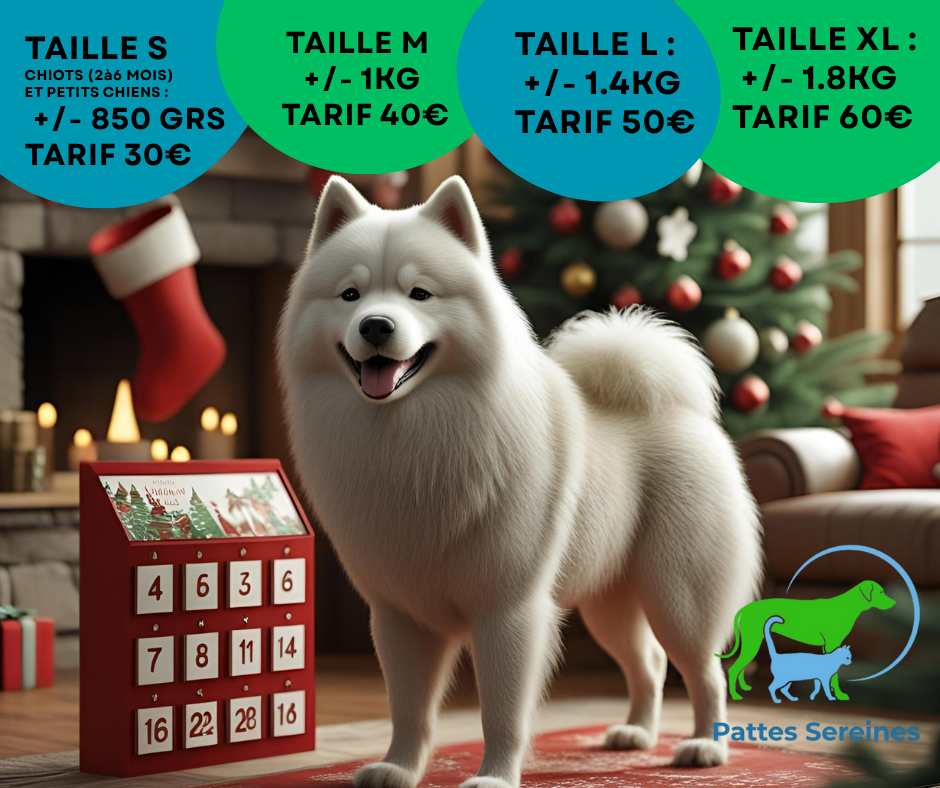 Calendrier de l'Avent pour chien