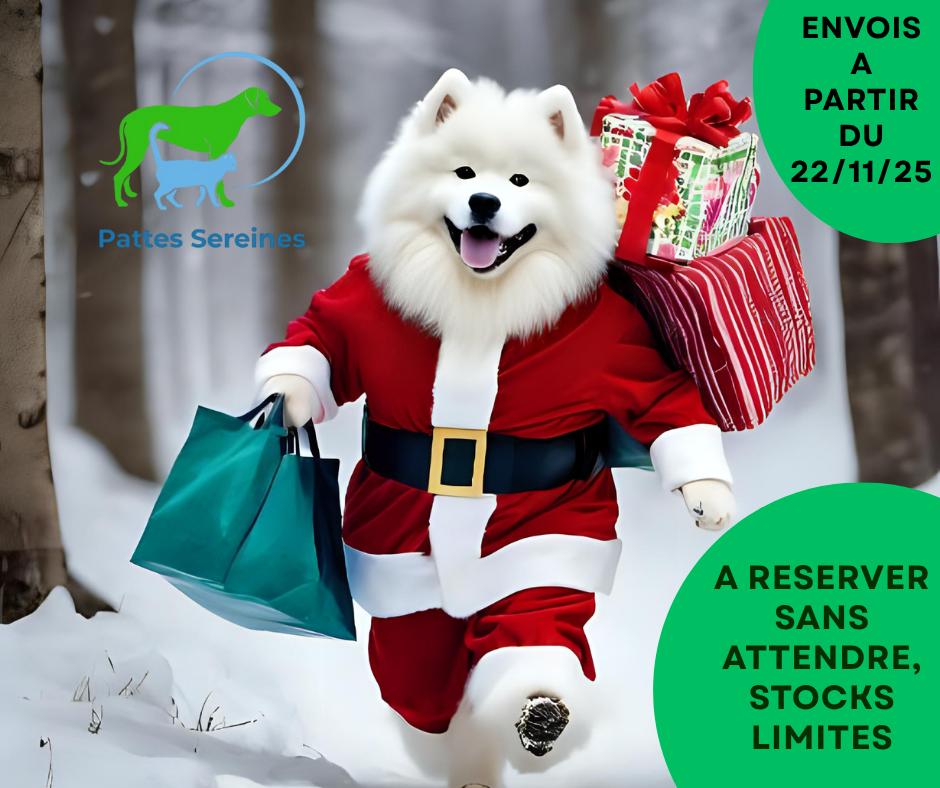 Calendrier de l'Avent pour chien