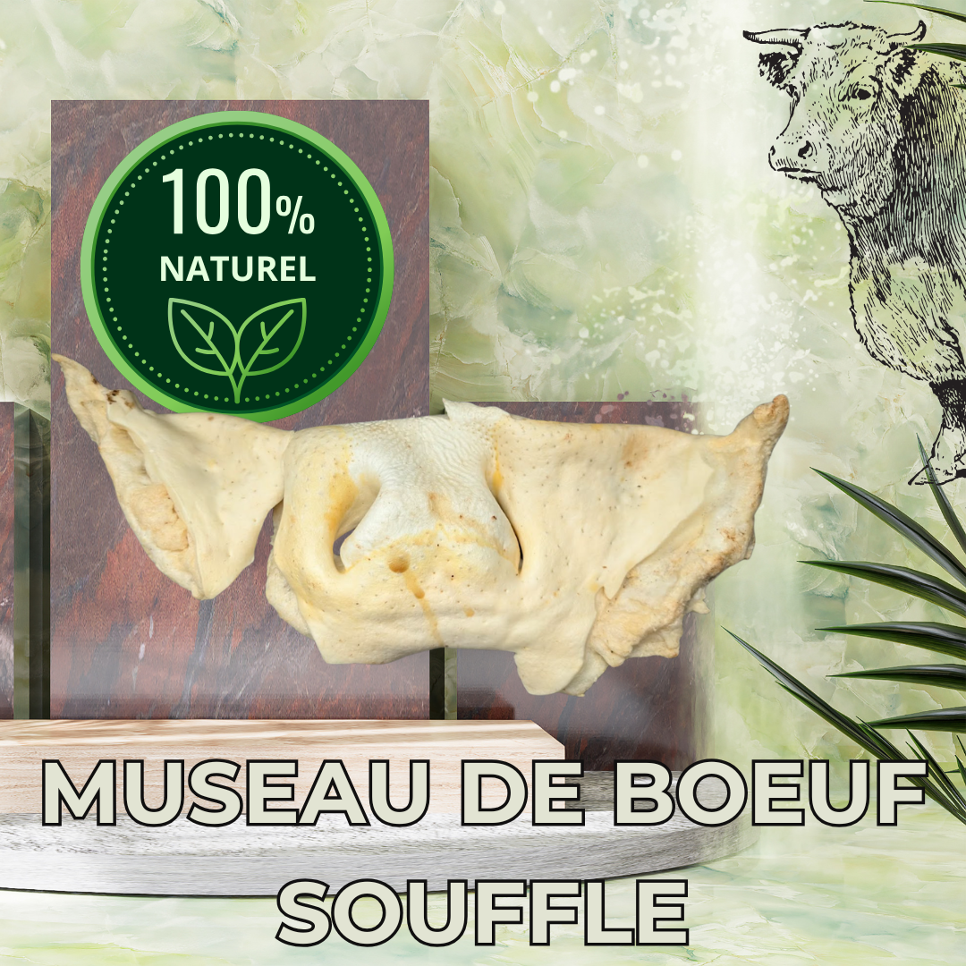 Museau de boeuf soufflé