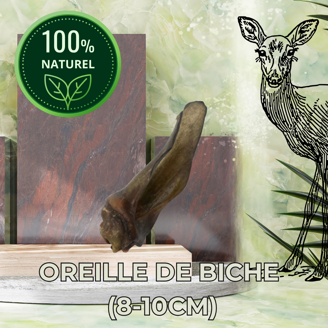 Oreille de biche