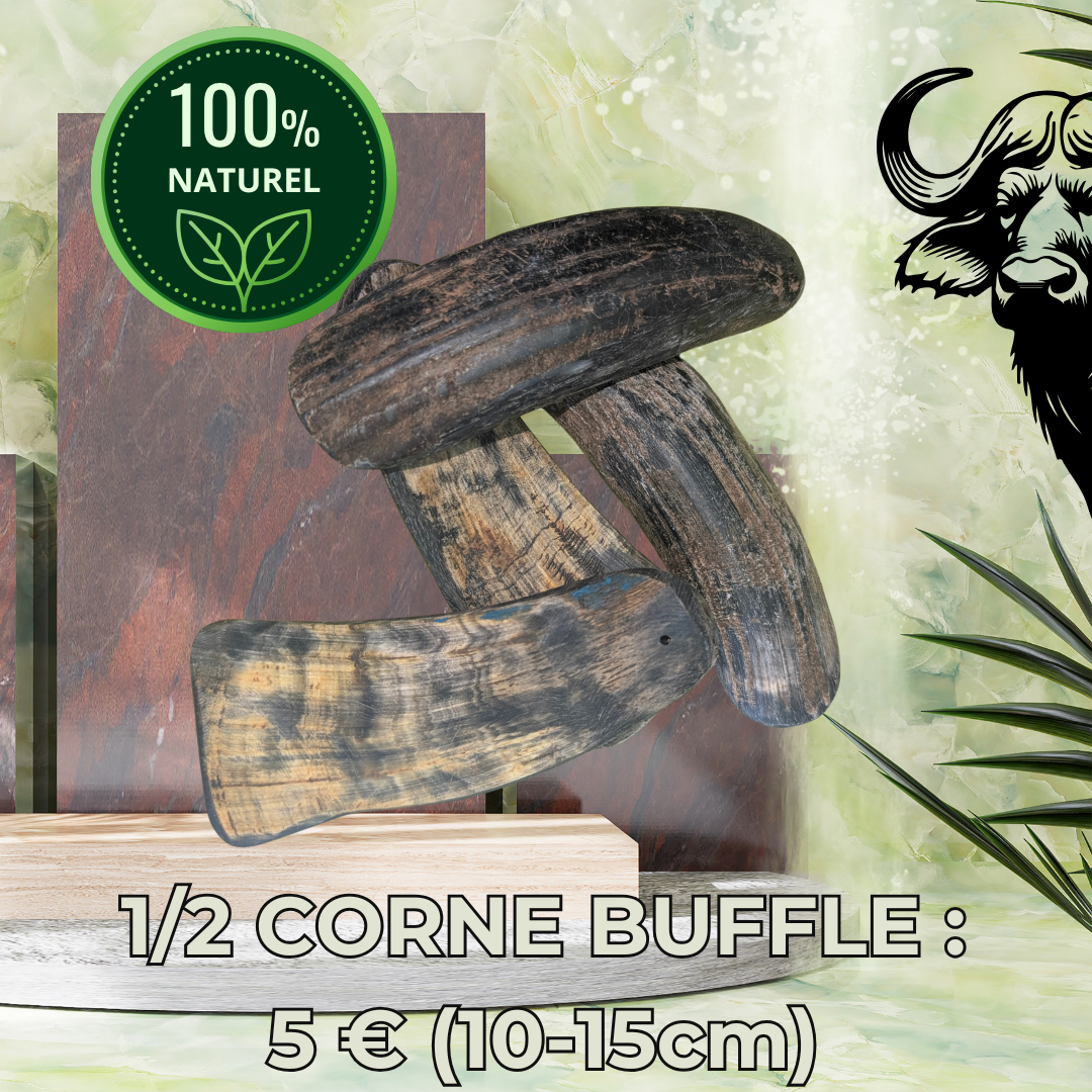 CORNE DE BUFFLE