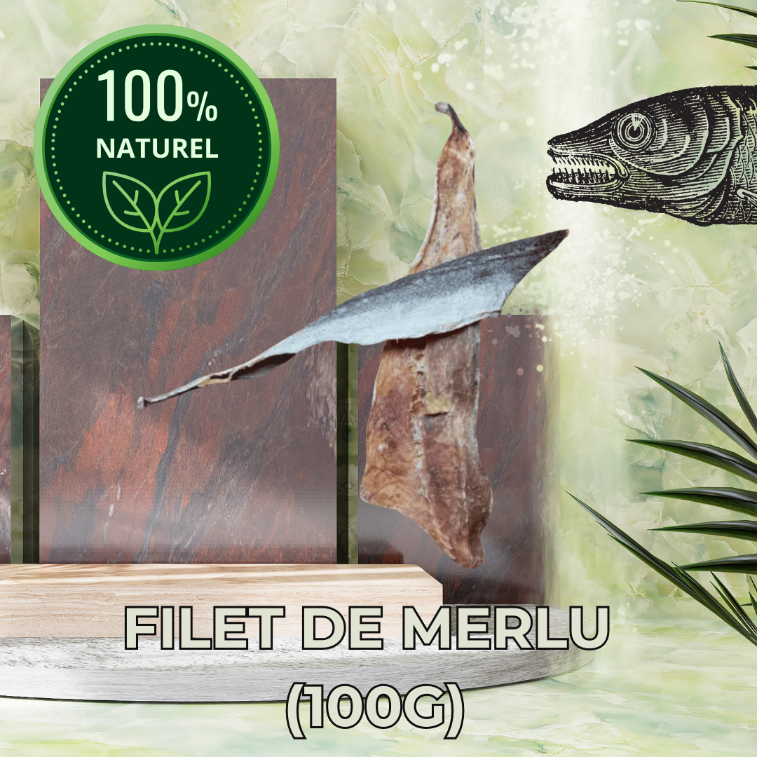 Filet de Merlu Séché