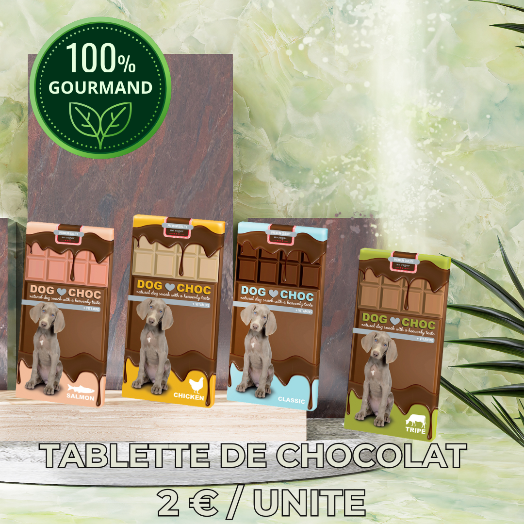 Tablette Dog Choc 100g