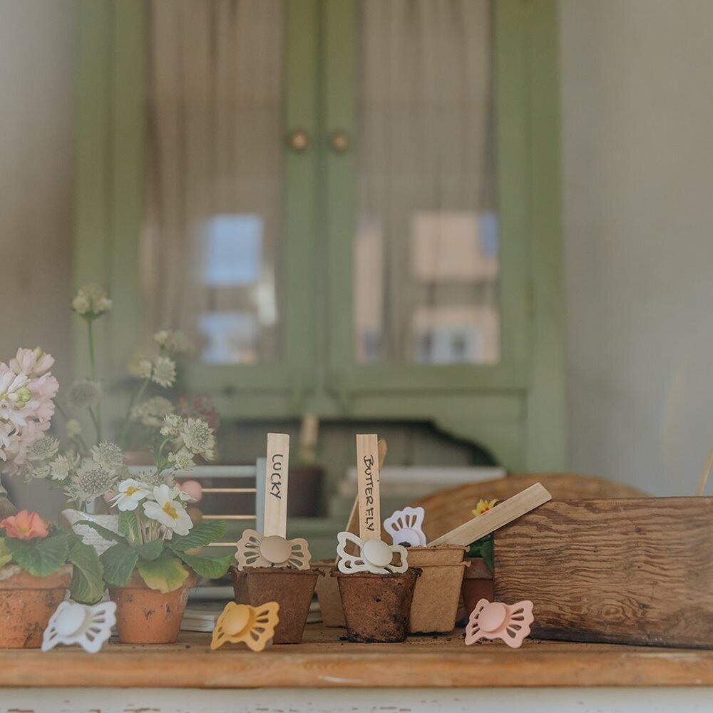 FRIGG Butterfly ortodontinis silikoninis čiulptukas