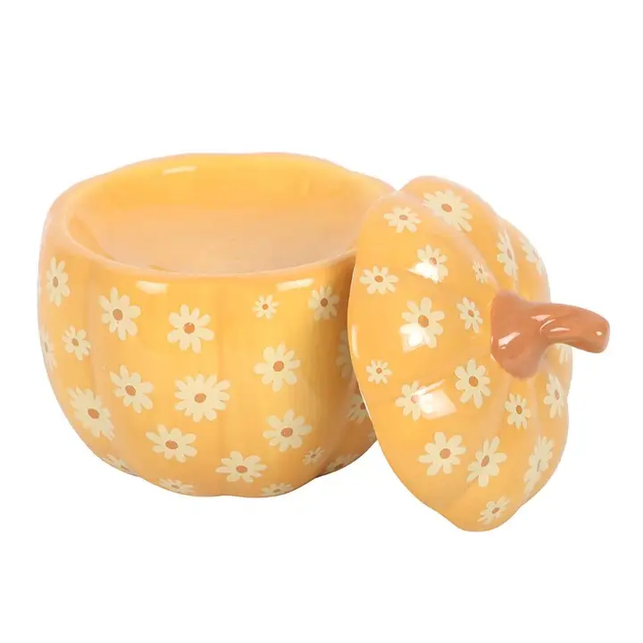 brule parfum citrouille orange 