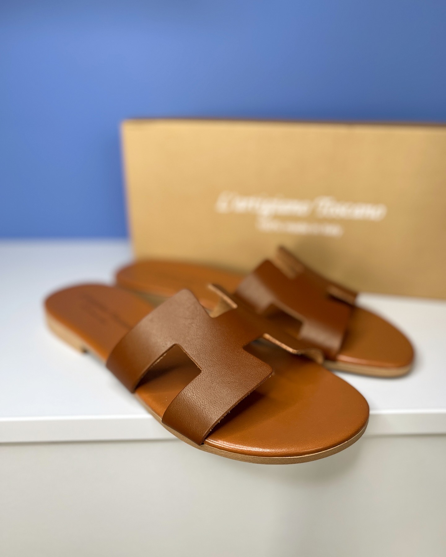 Rudos odinės šlepetės