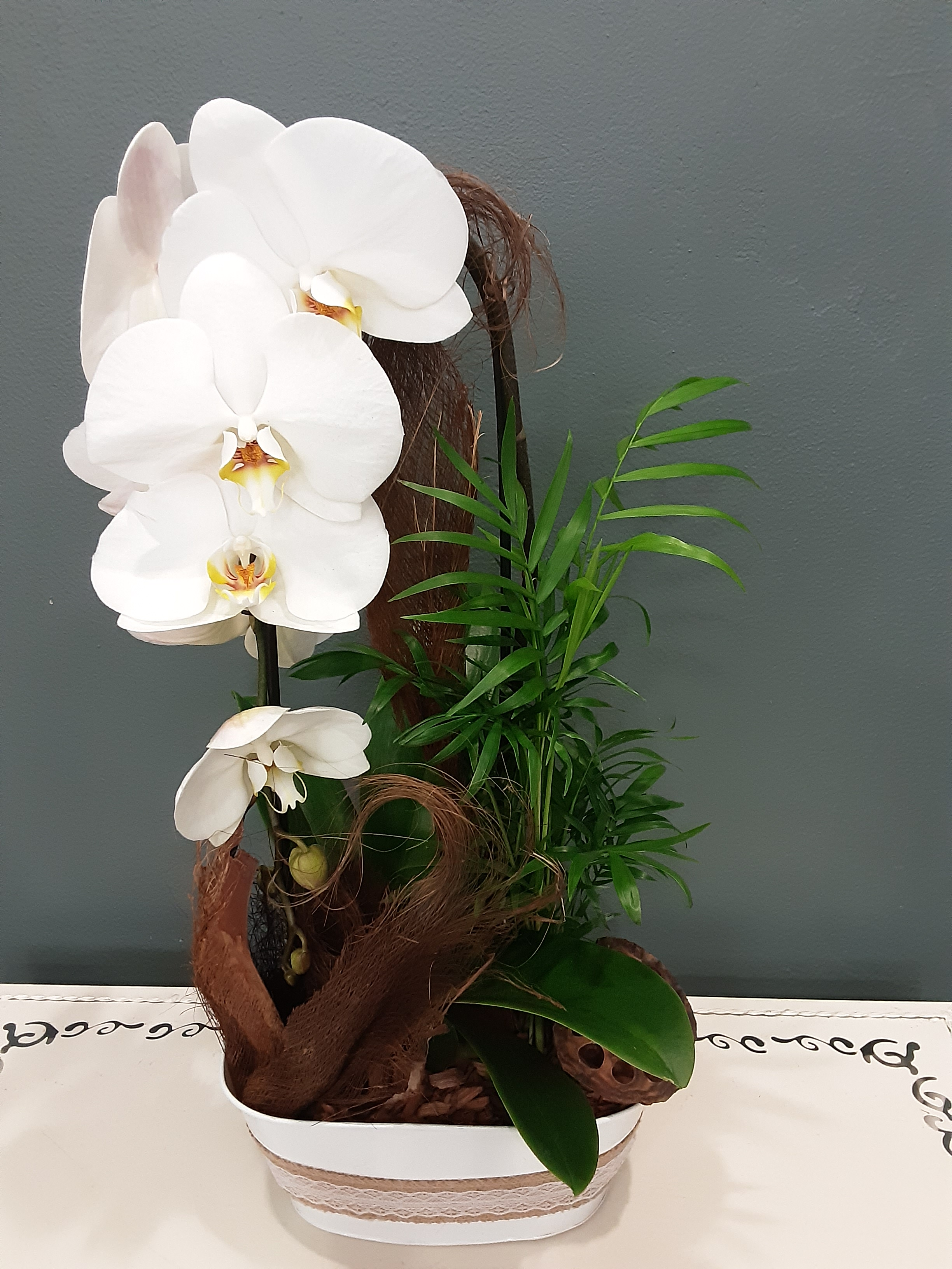 Composition avec orchidée