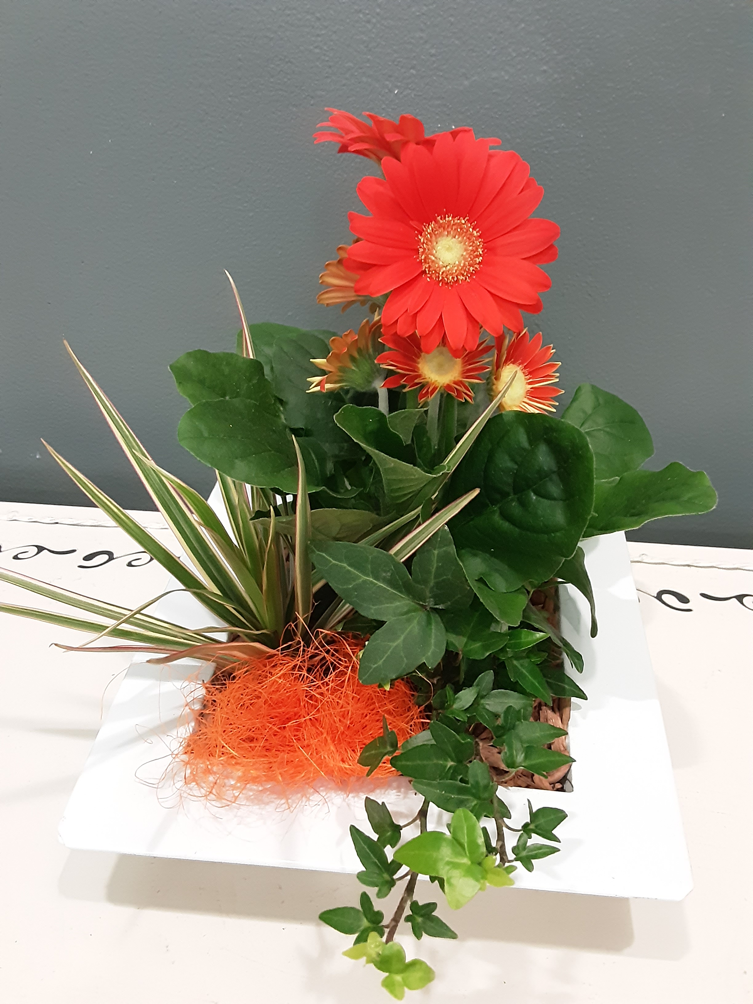 Composition plantes intérieure orange