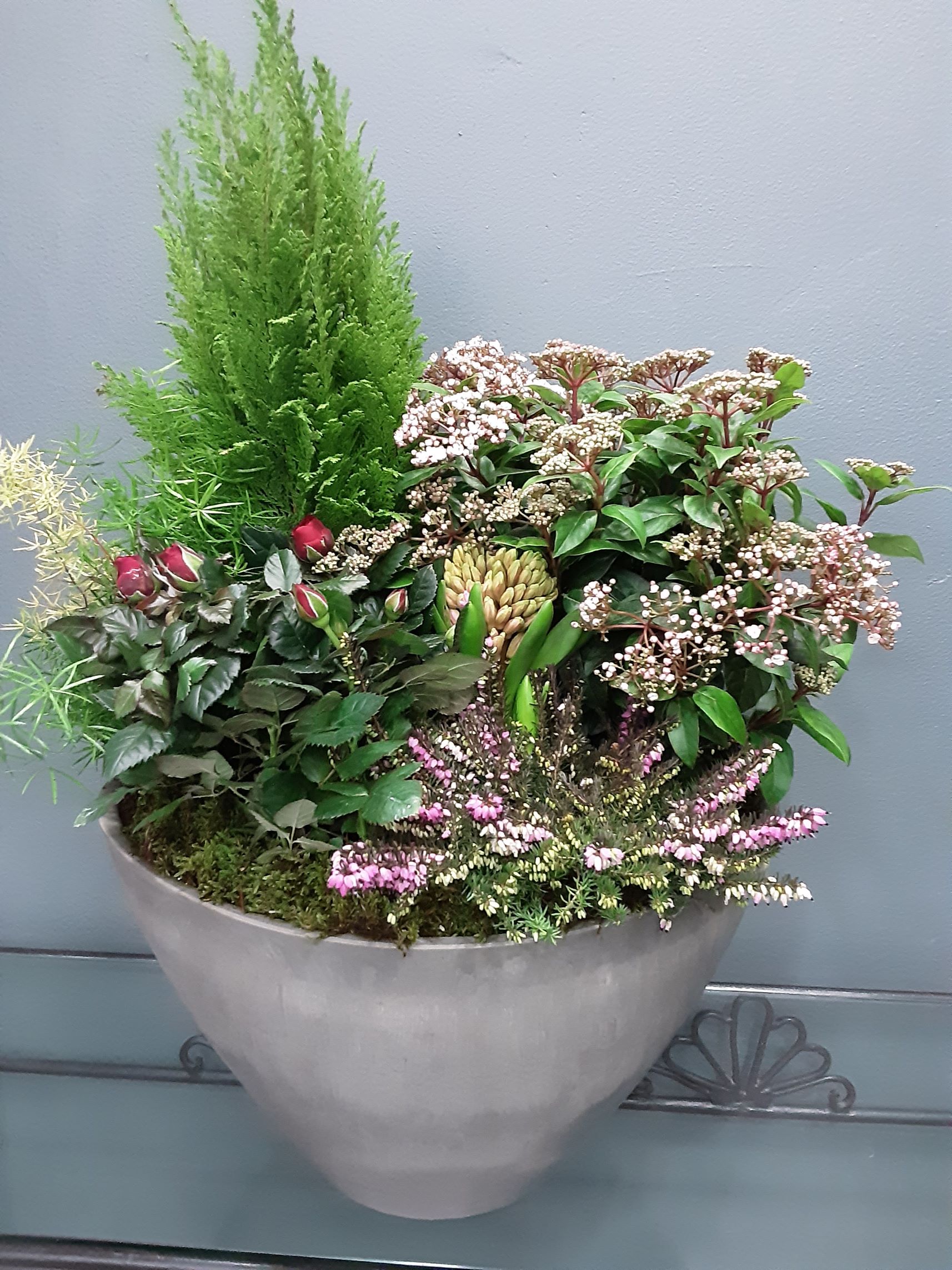 Composition de plantes extérieures dans pot résine