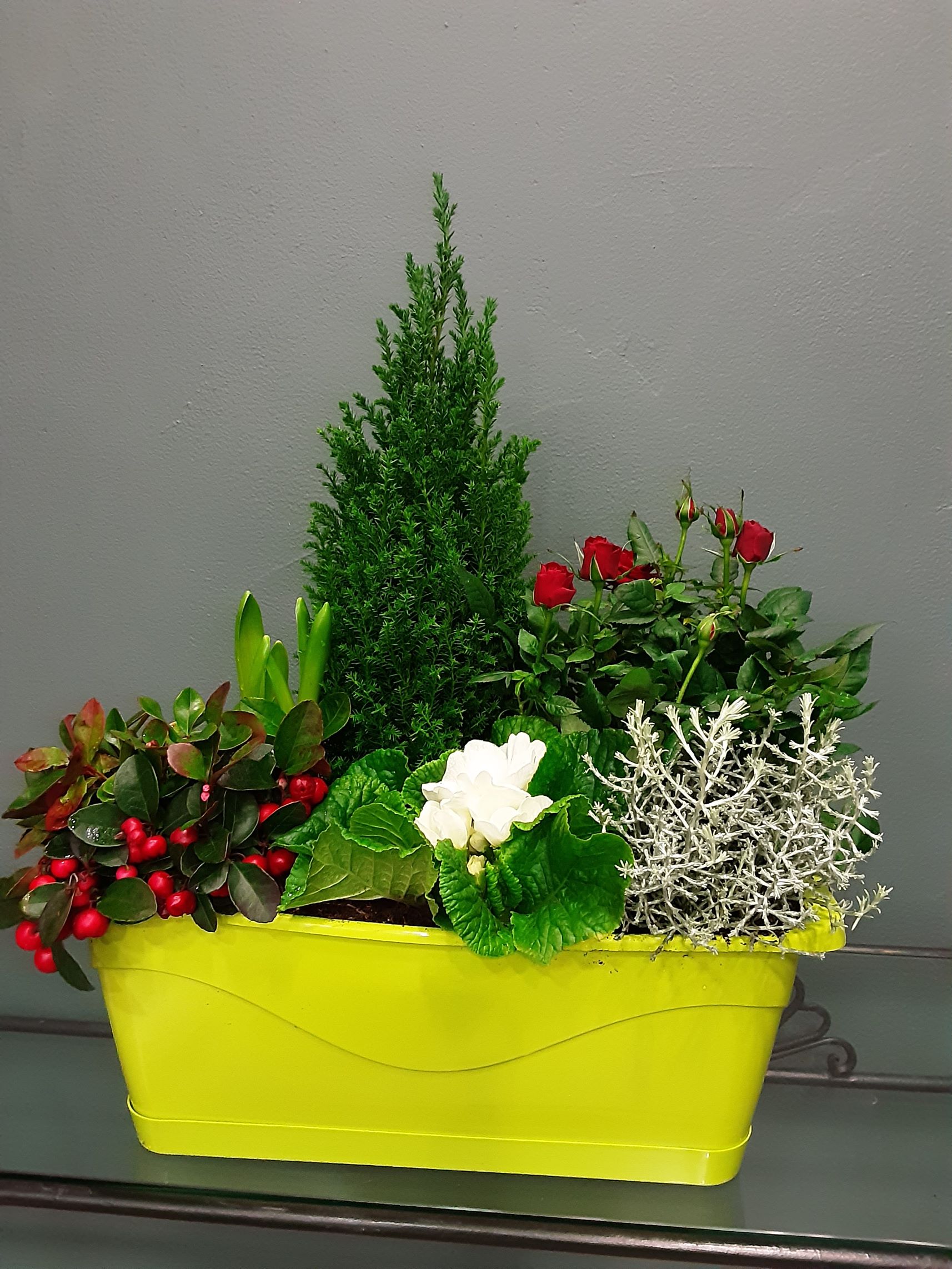 Jardinière plantes extérieures