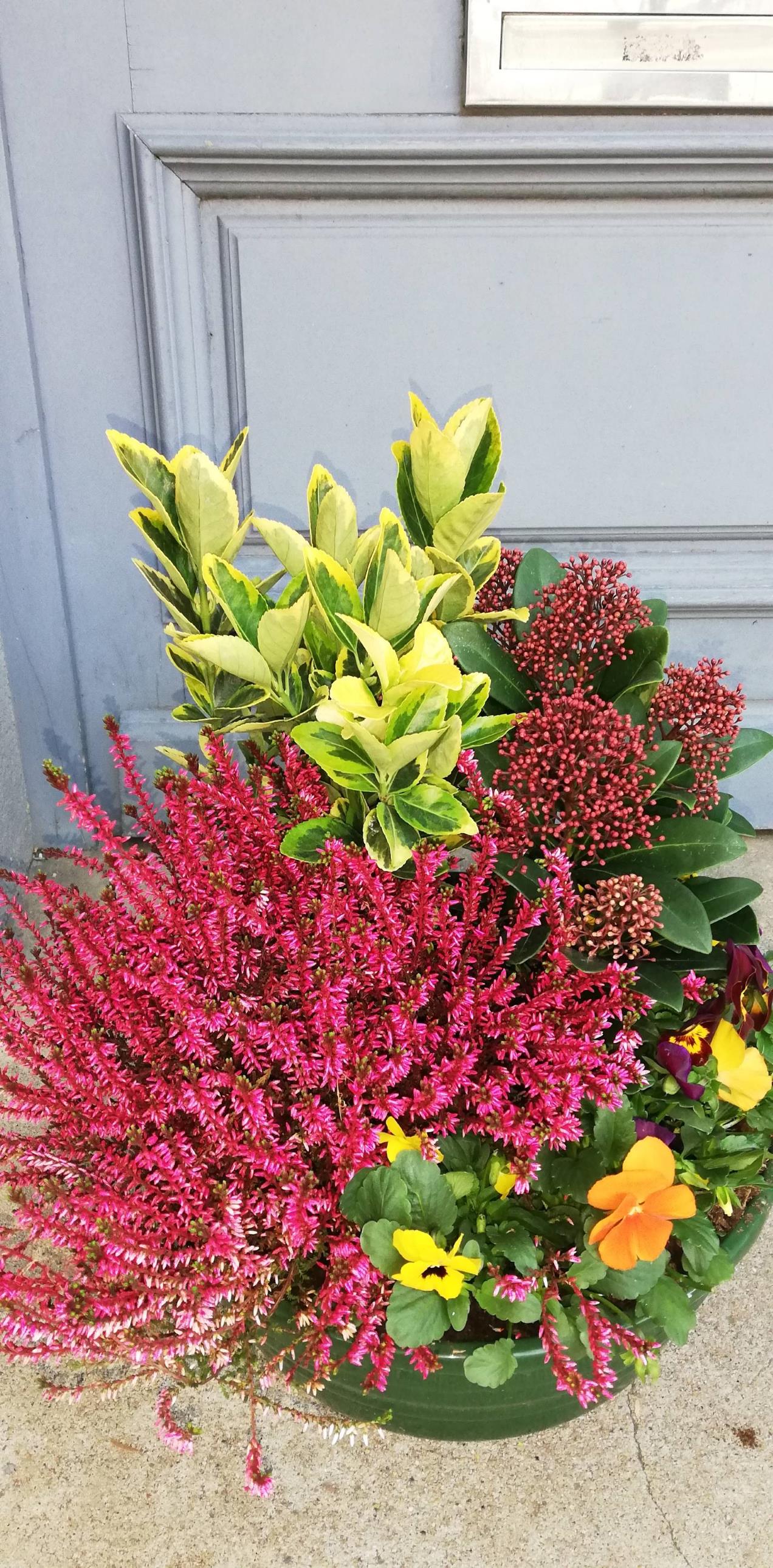 Coupe de plantes
