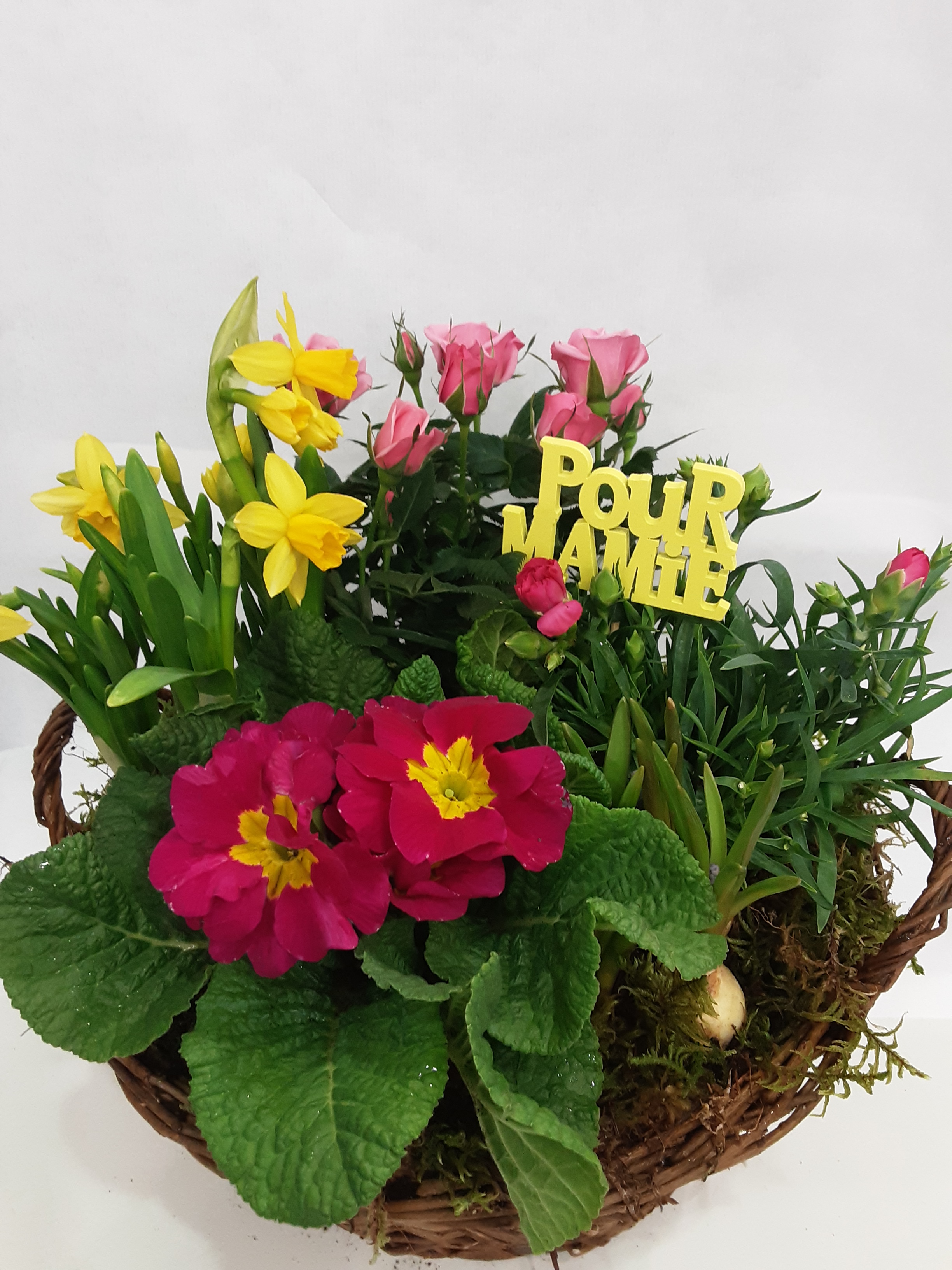 Assemblage printemps avec rosier