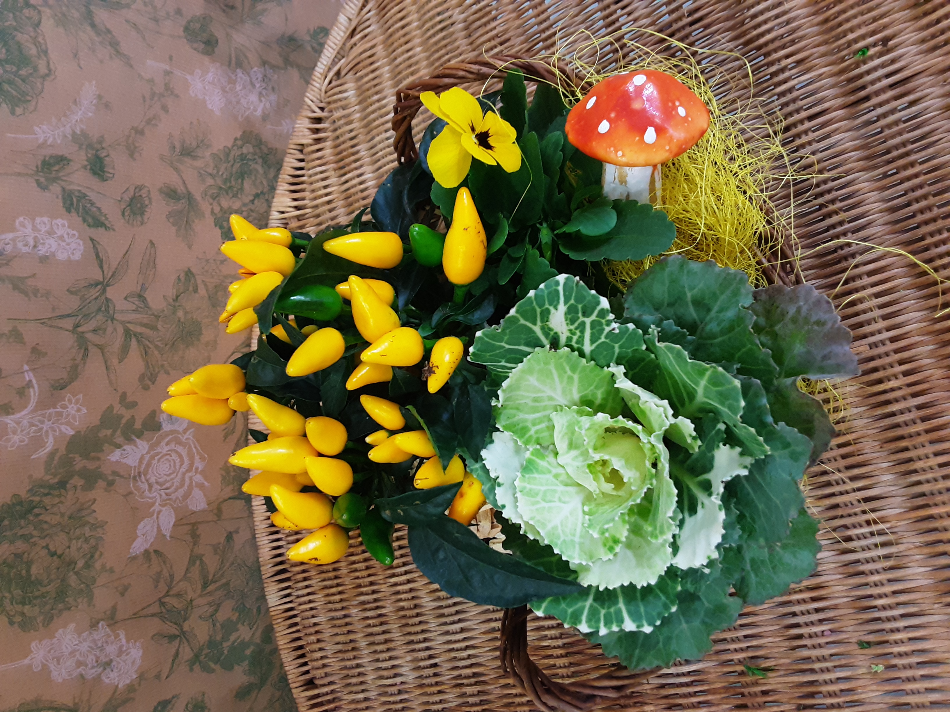 Petit panier 