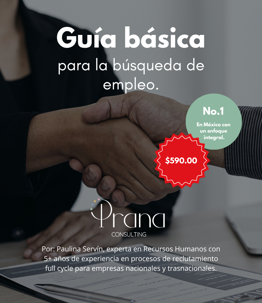 Guía básica para la búsqueda de empleo 