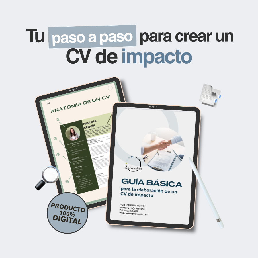 Guía básica para creación de CV