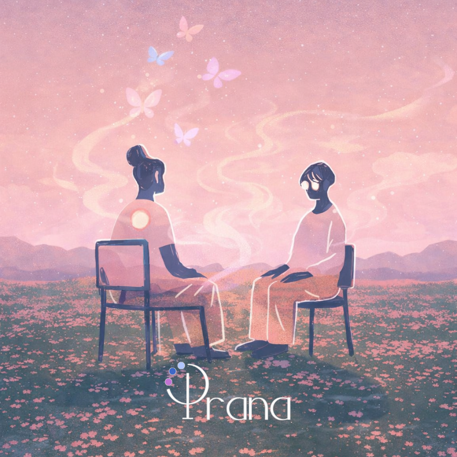 Sesión Seguimiento Terapia Individual