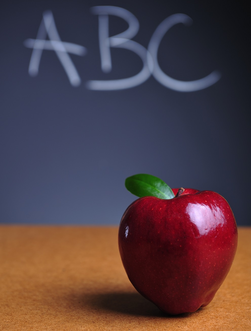 Primary Tuition