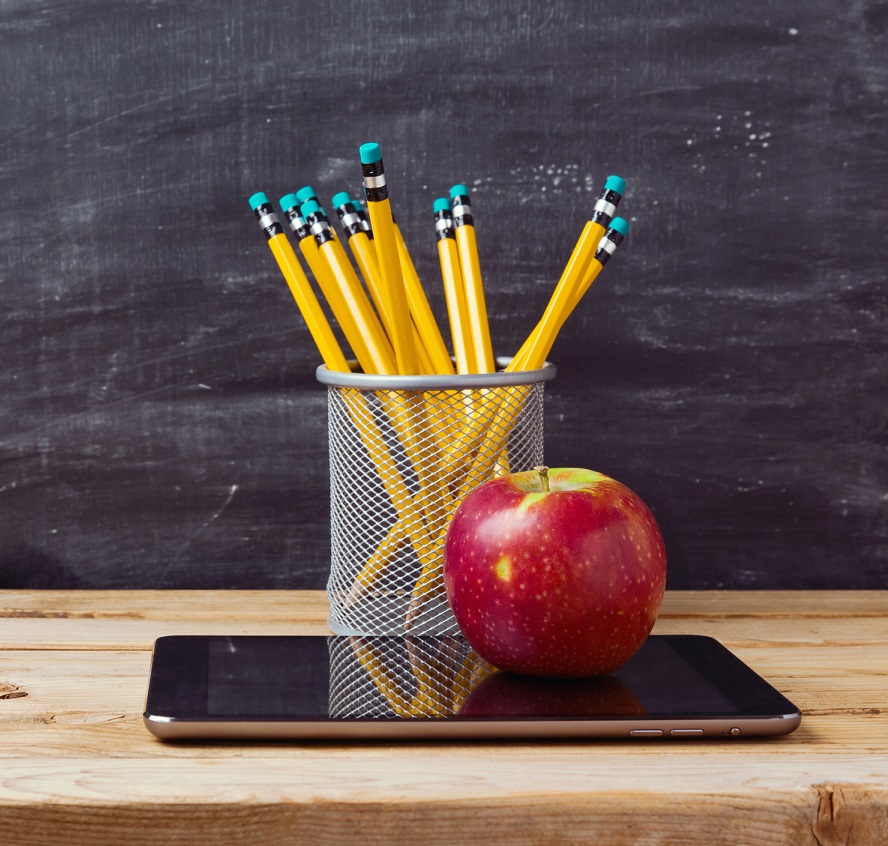 Primary Tuition