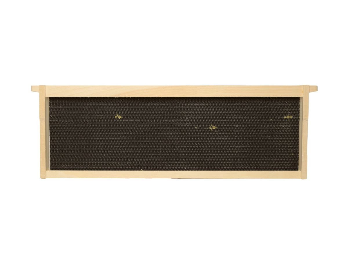 Medium Beehive Frame with Triple Waxed Foundation 6-1/4" Medium Assembled Frame | Triple Wax