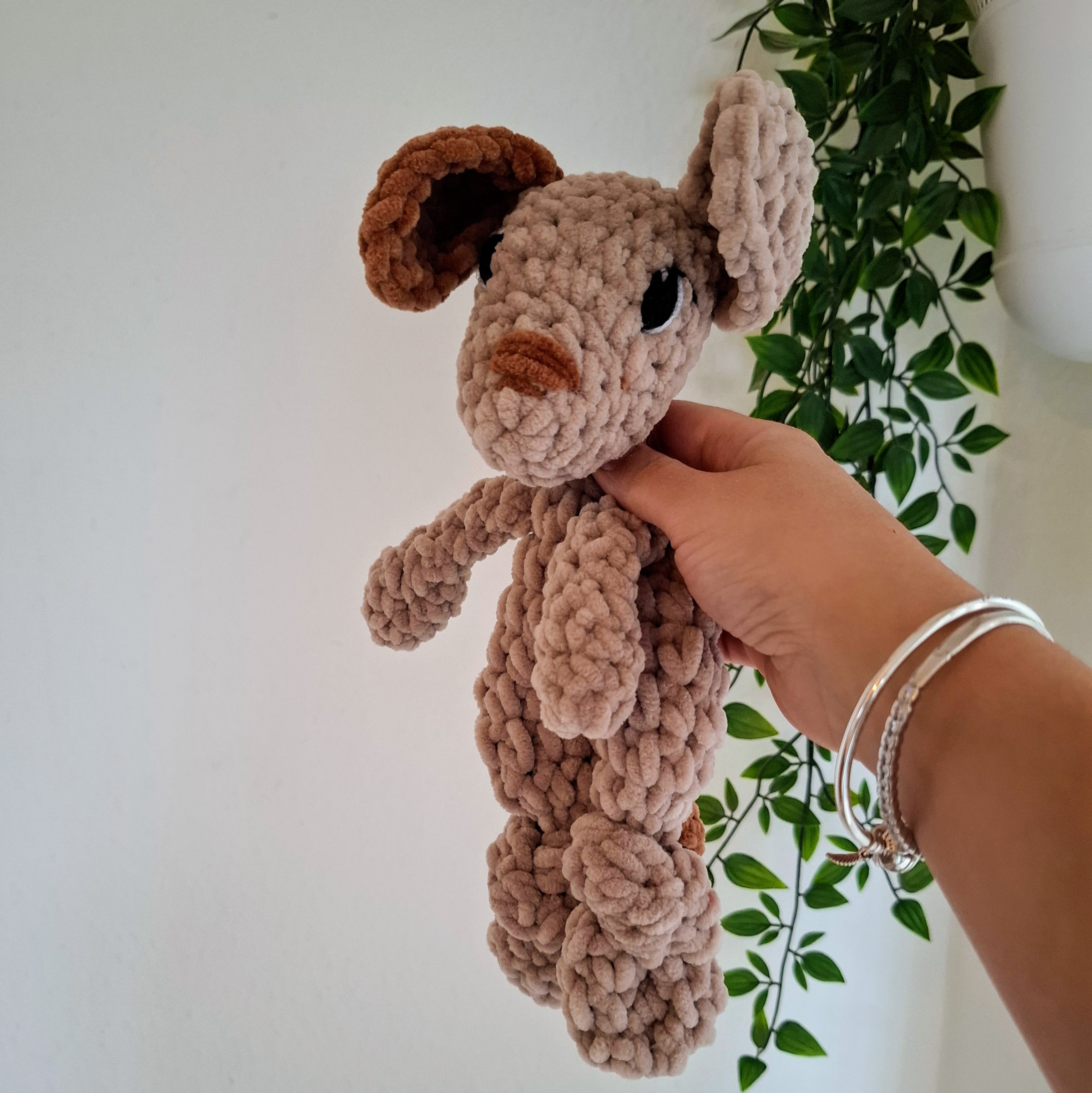 Biscuit le Chien