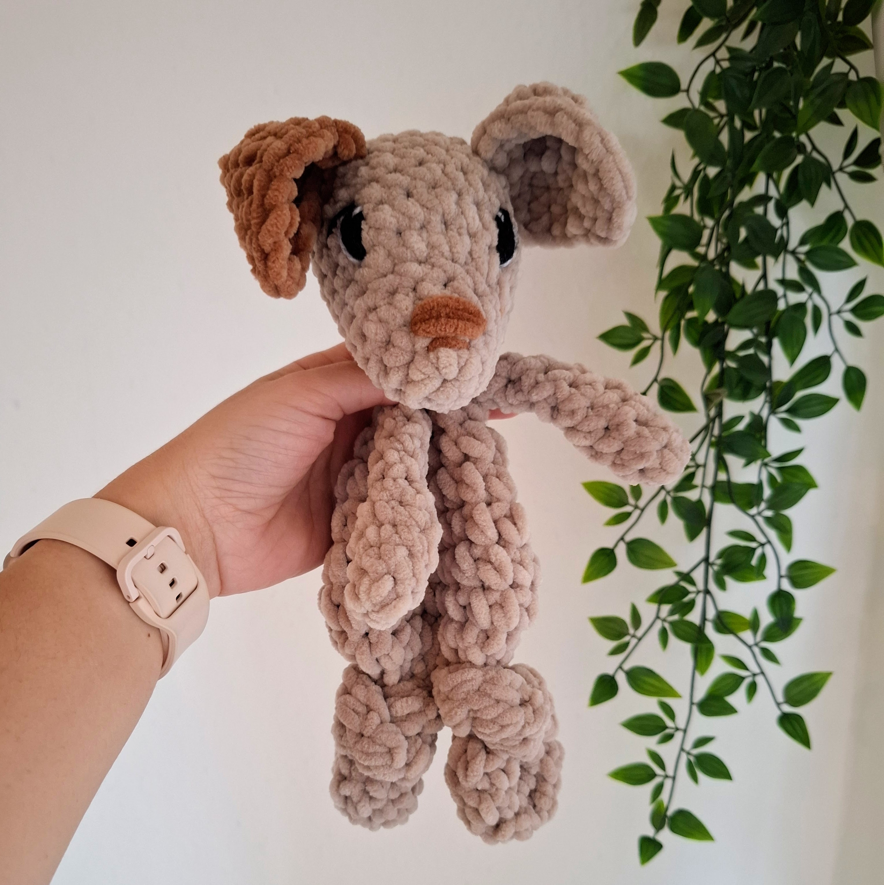 Biscuit le Chien