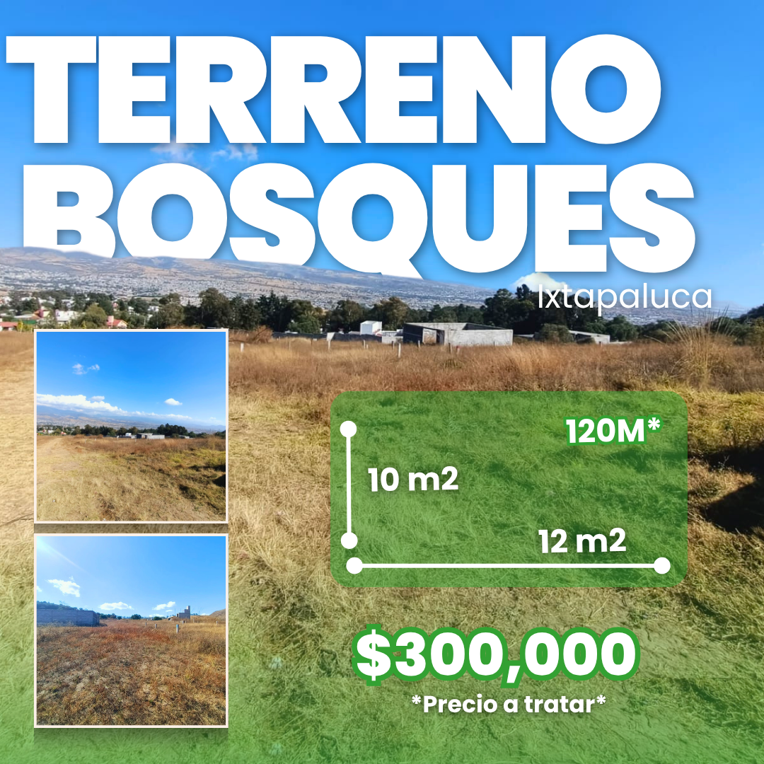 Terreno Bosques