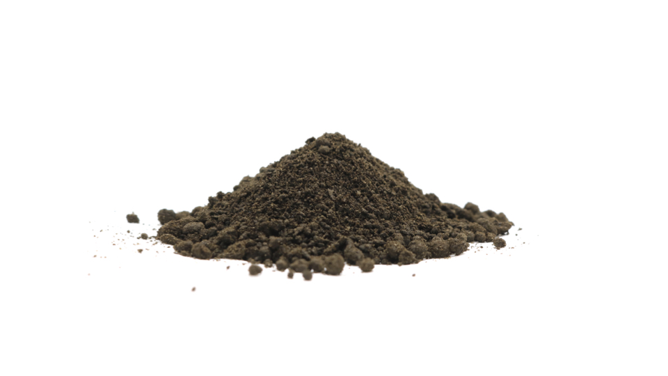 Humus Compost