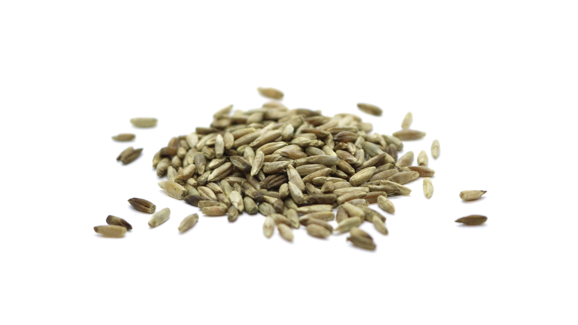 Organic Rye