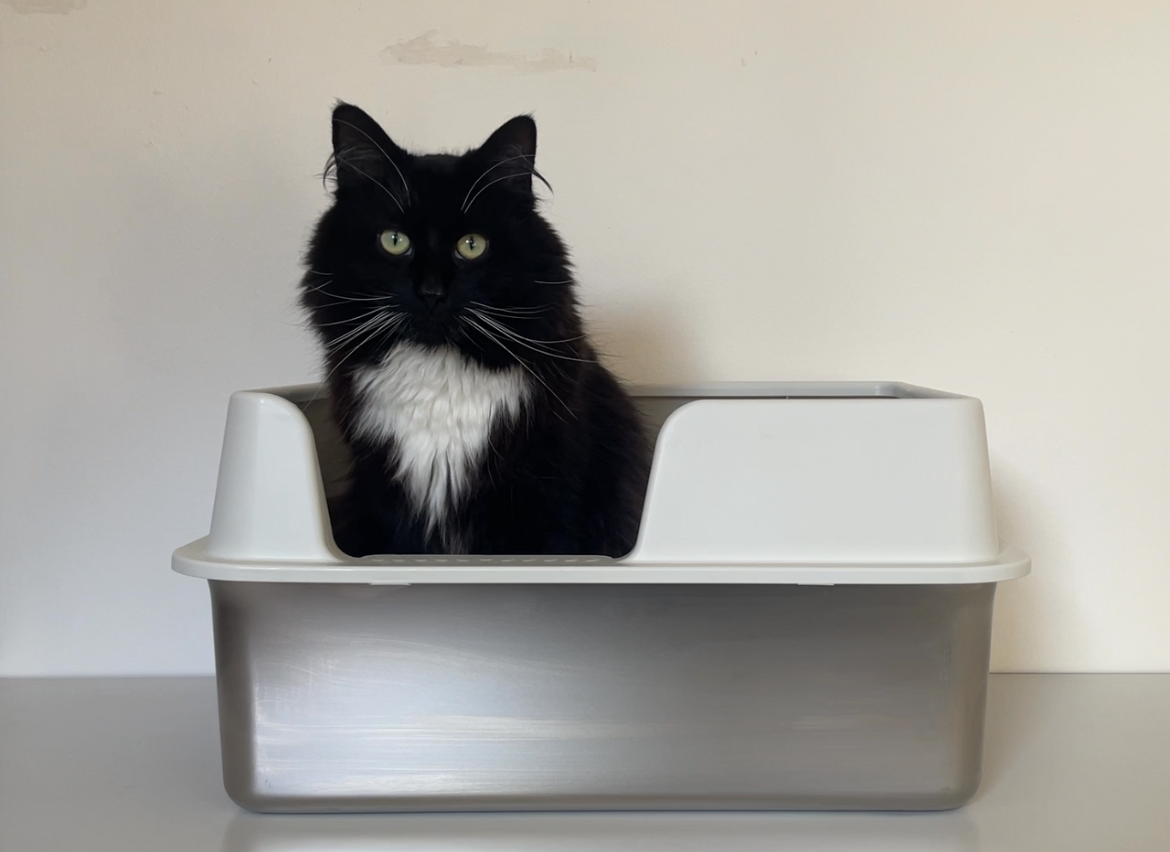 Semi-enclosed Stainless Steel Litter Box 