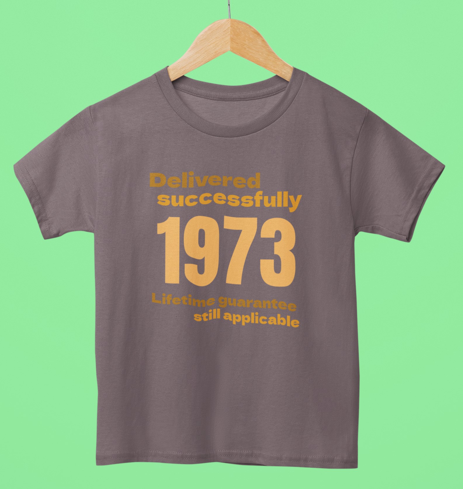 '1973 Delivered successfully, lifetime guarantee still applicable' T-Shirt for He or She.