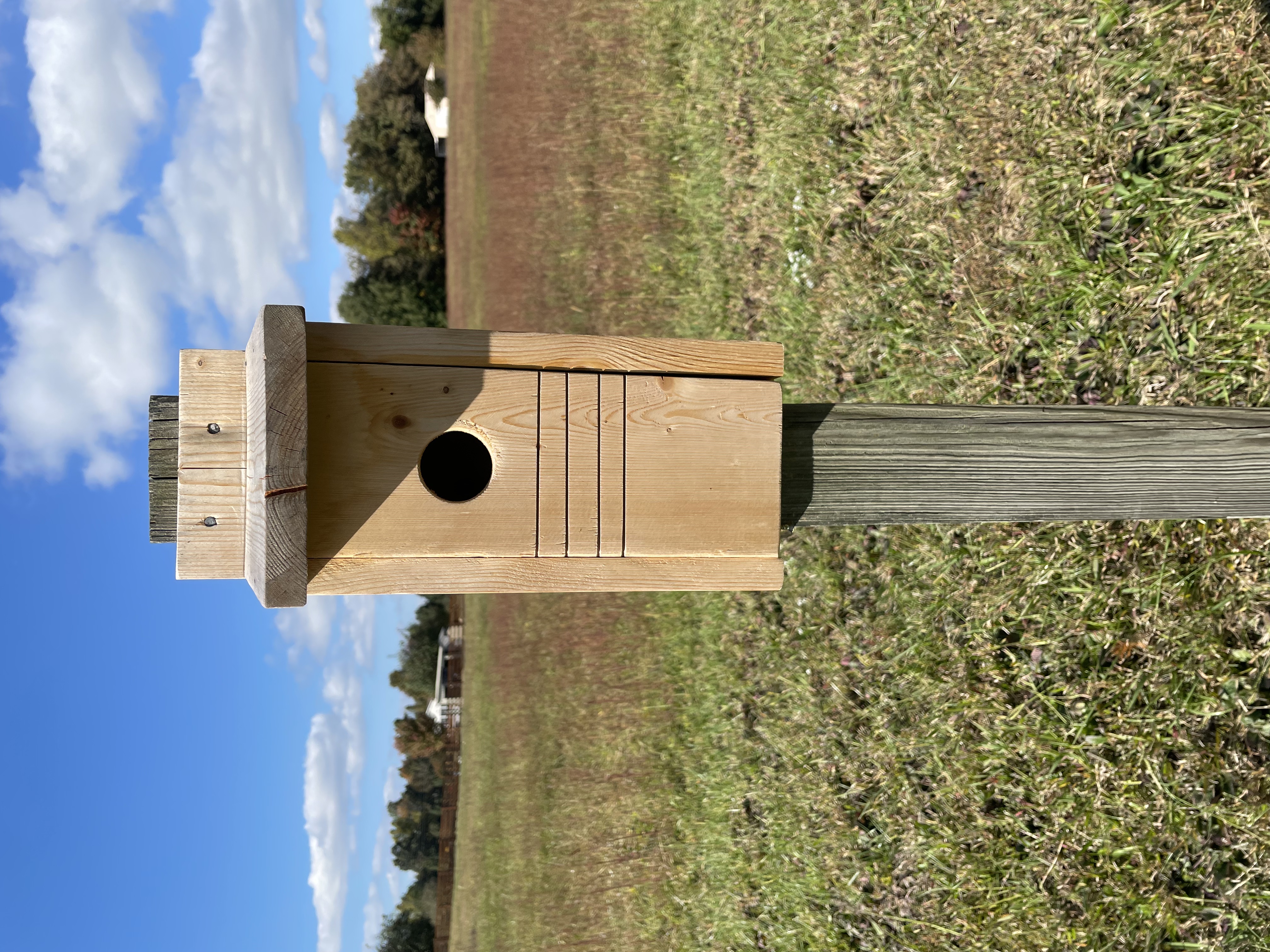 Bluebird house, Bird house, attract birds, nesting box, year round, gift for bird lovers,