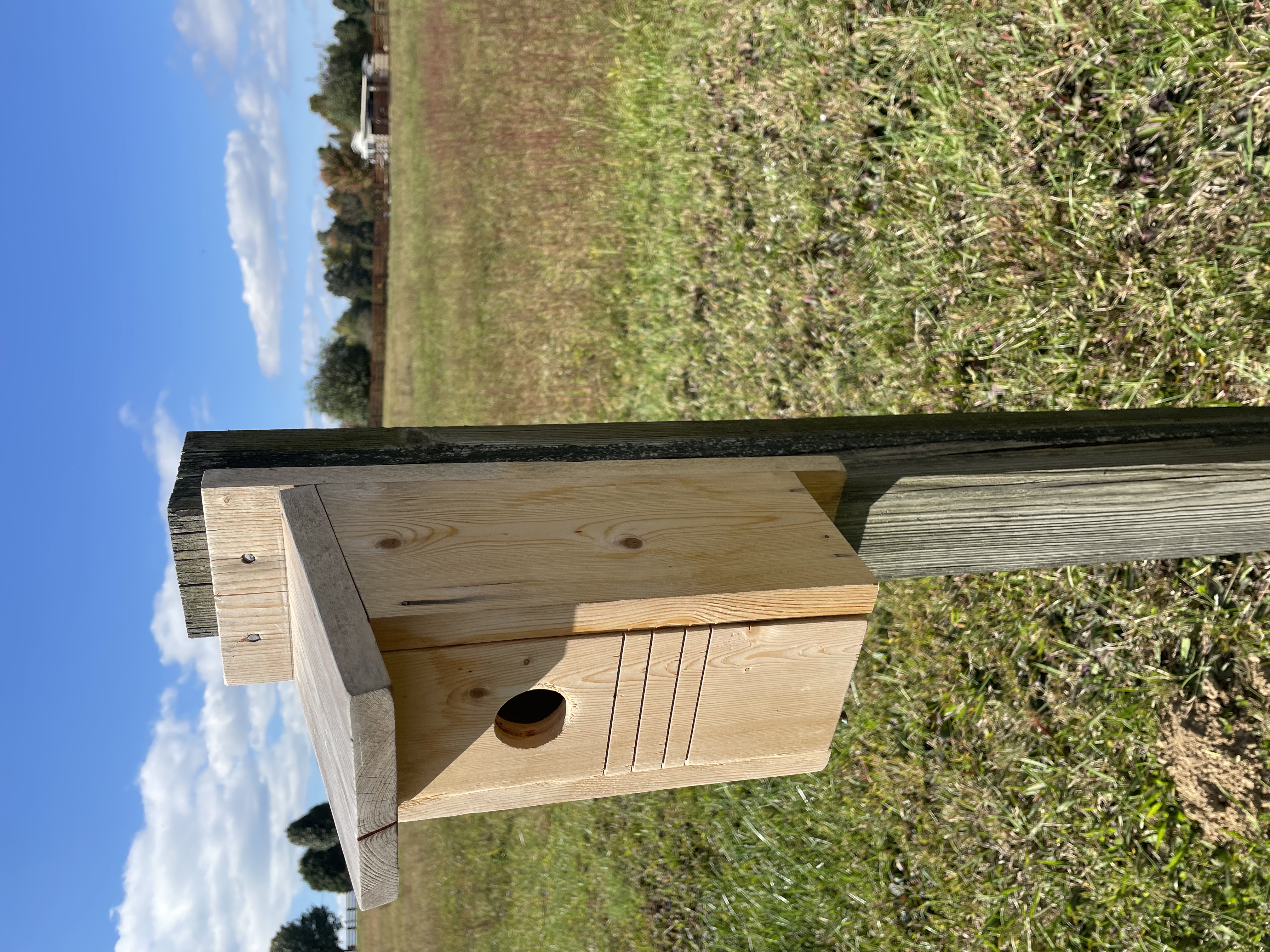 Bluebird house, Bird house, attract birds, nesting box, year round, gift for bird lovers,