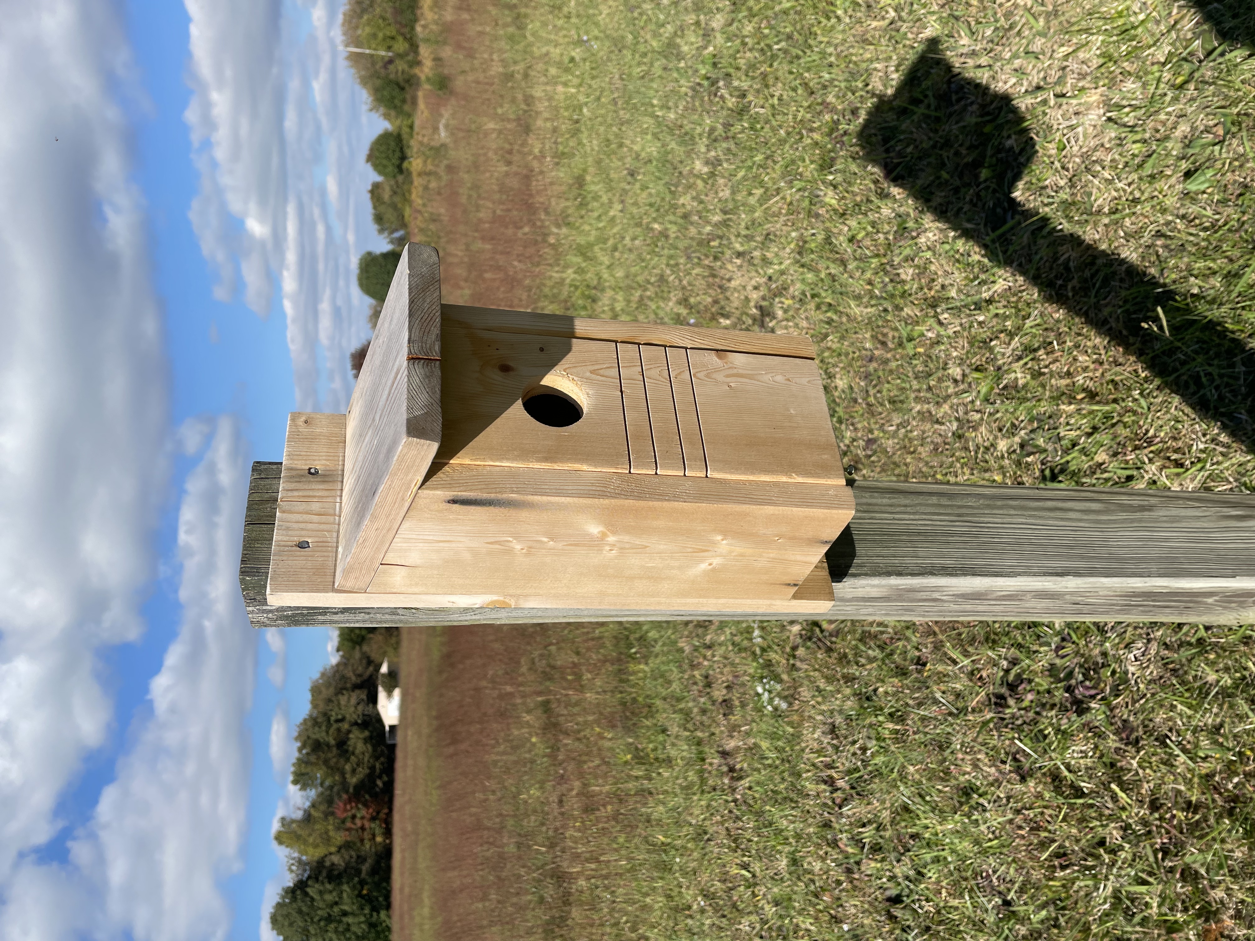 Bluebird house, Bird house, attract birds, nesting box, year round, gift for bird lovers,