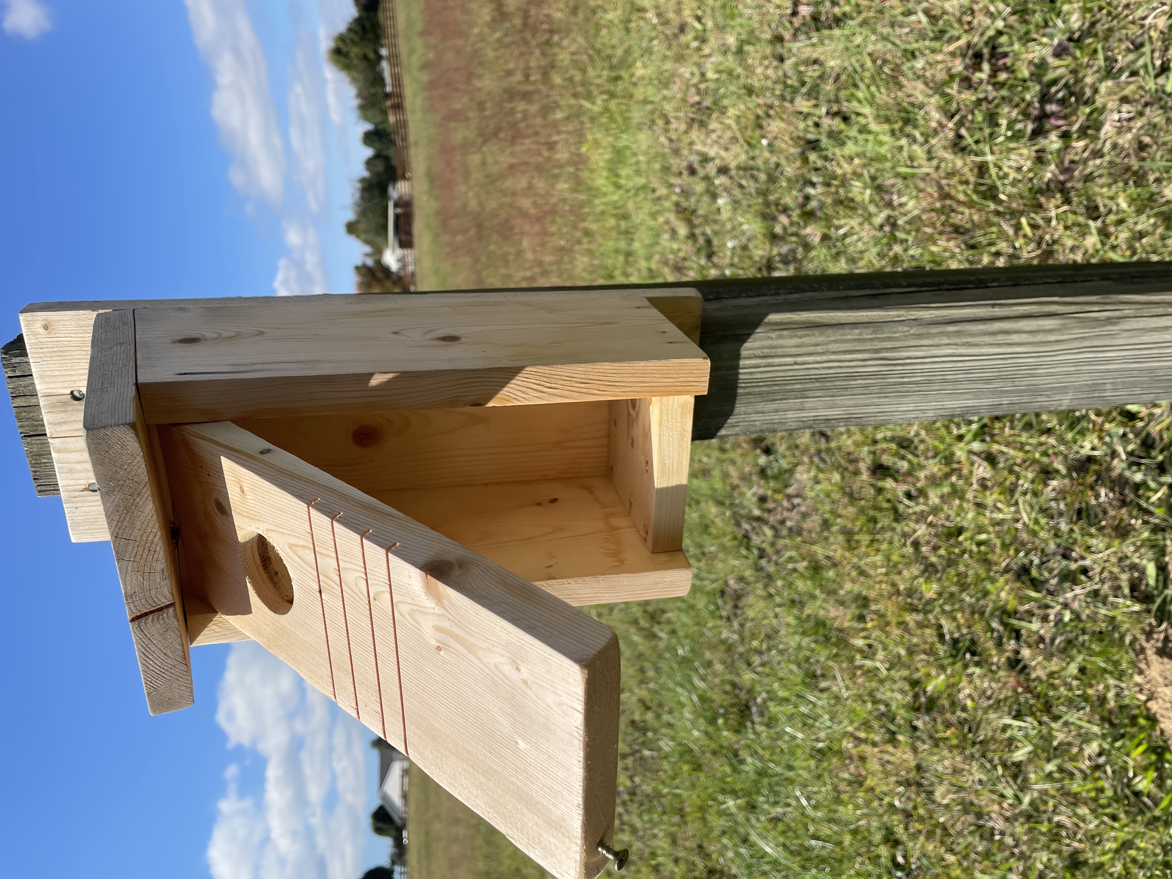 Bluebird house, Bird house, attract birds, nesting box, year round, gift for bird lovers,