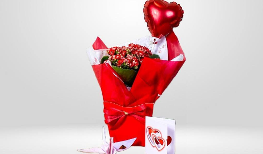 Cachepot de flores vermelho