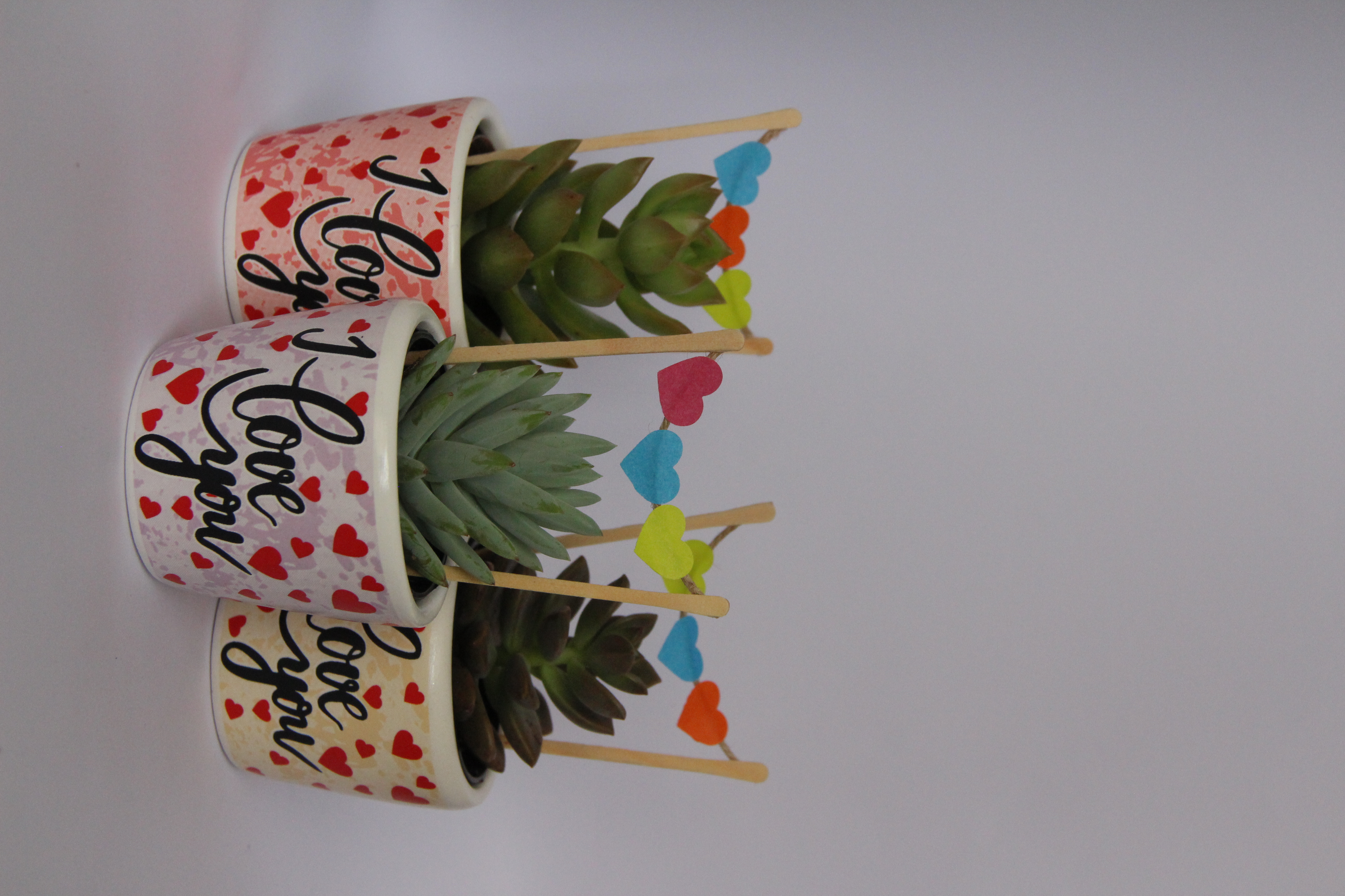 Vaso de suculenta  "I Love You"