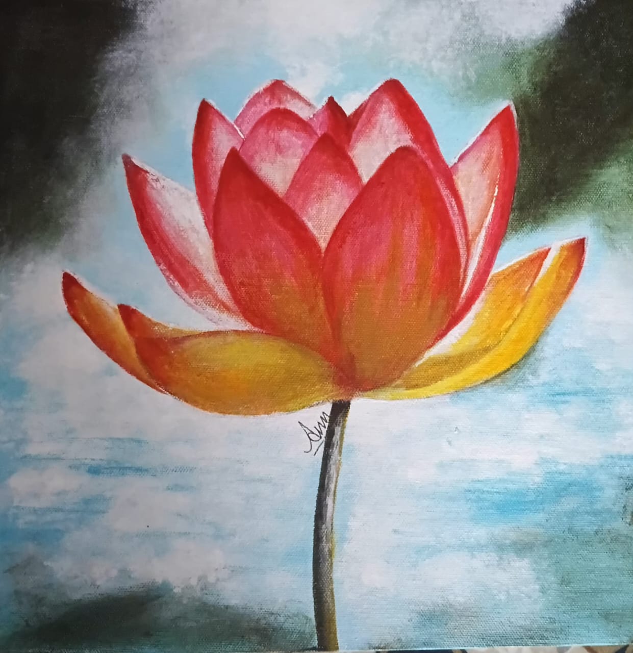 Lotus Flower 